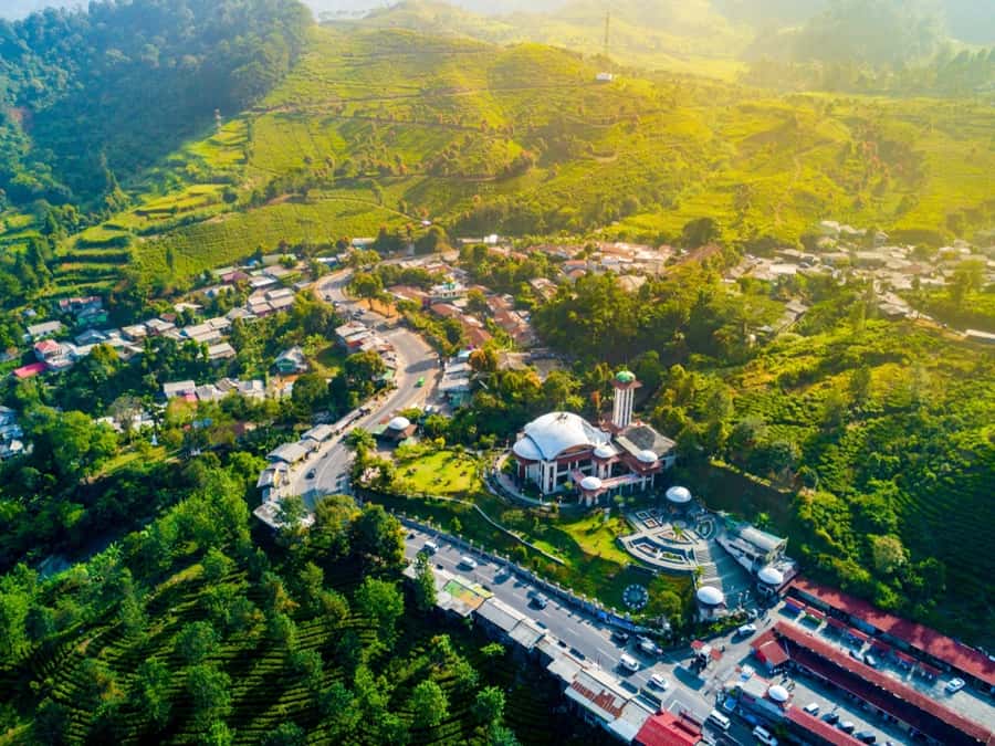 From Jakarta: Safari Park, Tea Plantation & Jaksa Waterfall - My verdict on the Jakarta safari and Puncak day