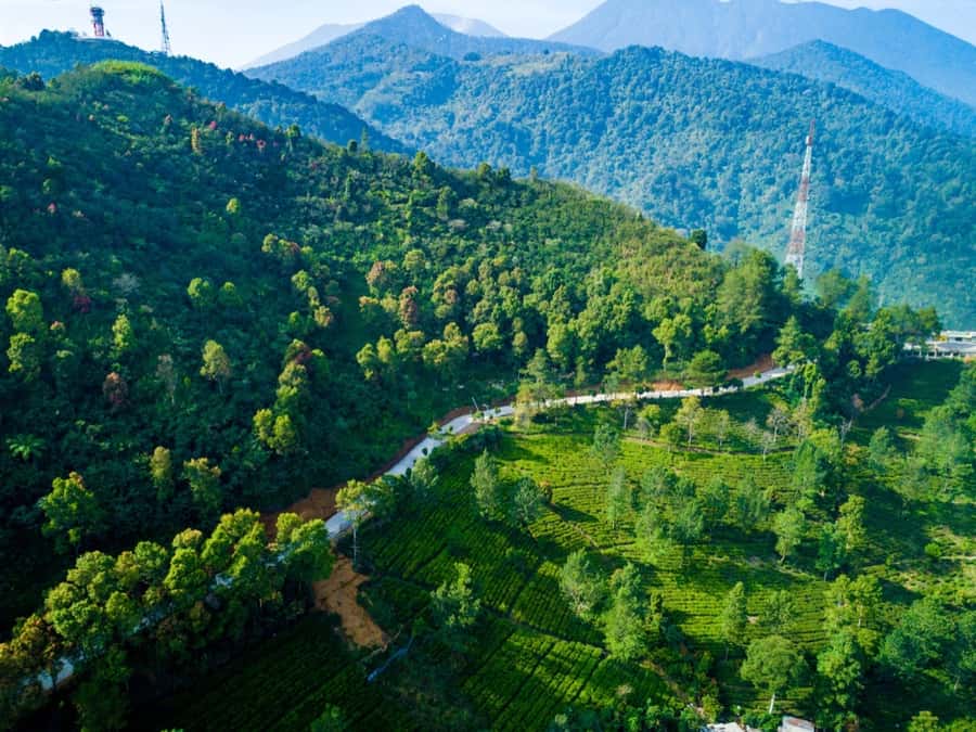 From Jakarta: Safari Park, Tea Plantation & Jaksa Waterfall - Taman Safari Bogor: the day’s main attraction