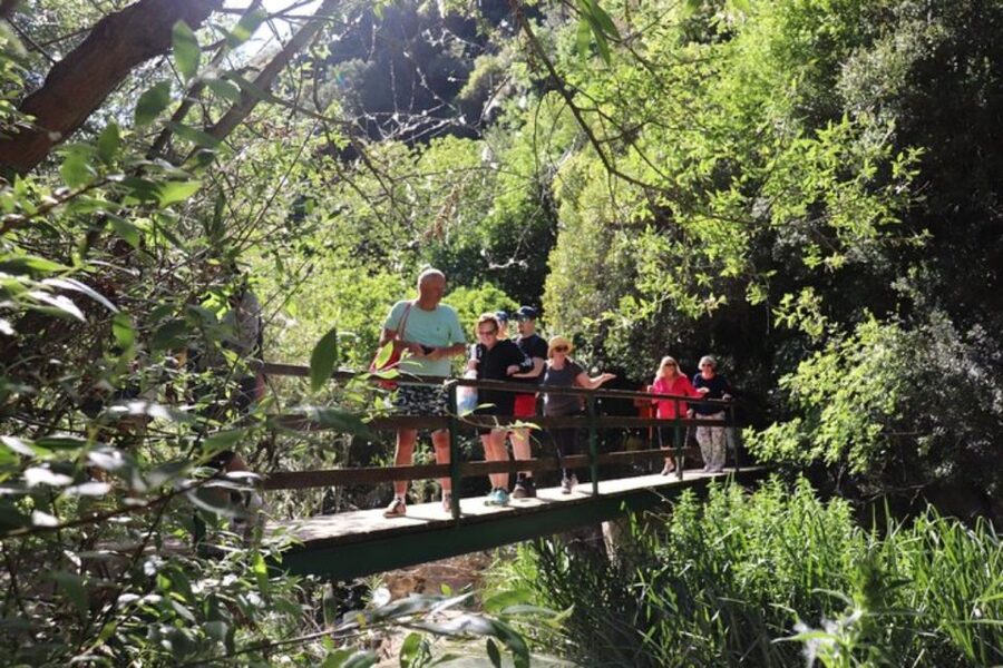 From Kalamata: Polylimnio Waterfalls Guided Hiking Tour - Coffee, snacks, and a slower finish