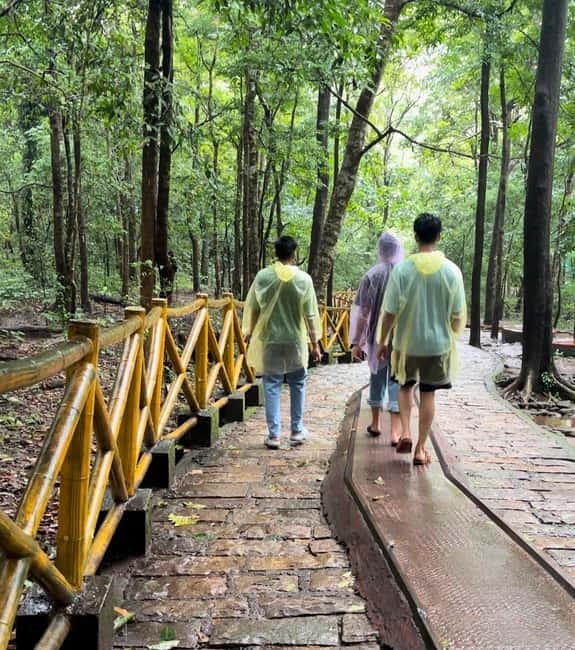 From Kochi: Athirappilly Waterfalls Day Trip with Transfers - Birds, animals, and the forest setting