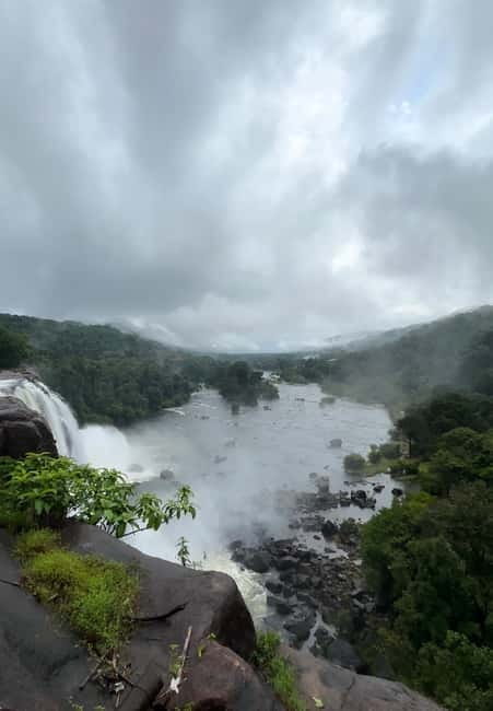 From Kochi: Athirappilly Waterfalls Day Trip with Transfers - What the driver adds to the day