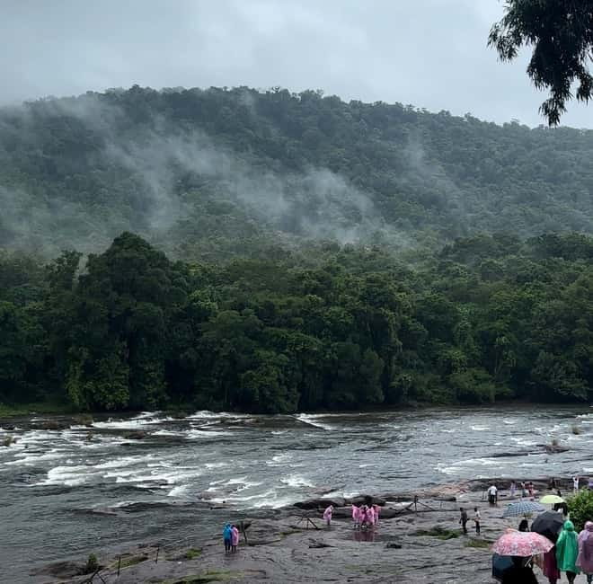 From Kochi: Athirappilly Waterfalls Day Trip with Transfers - Who will enjoy this Kochi day trip?