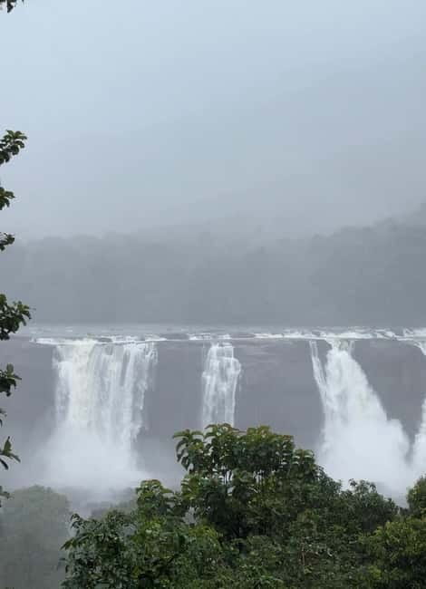 From Kochi: Athirappilly Waterfalls Day Trip with Transfers - What to bring for Athirappilly