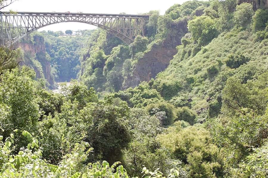 From Livingstone: Victoria Falls Guided Half-Day Tour - Seeing Victoria Falls from the Zambian side