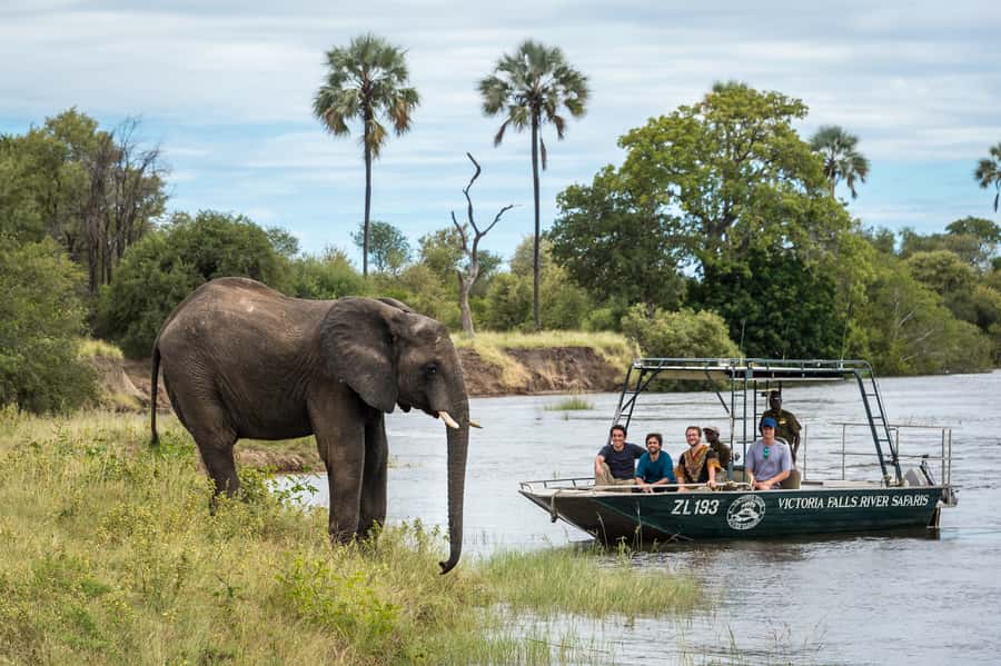 From Livingstone: Victoria Falls River Safari - Who will enjoy this river safari?