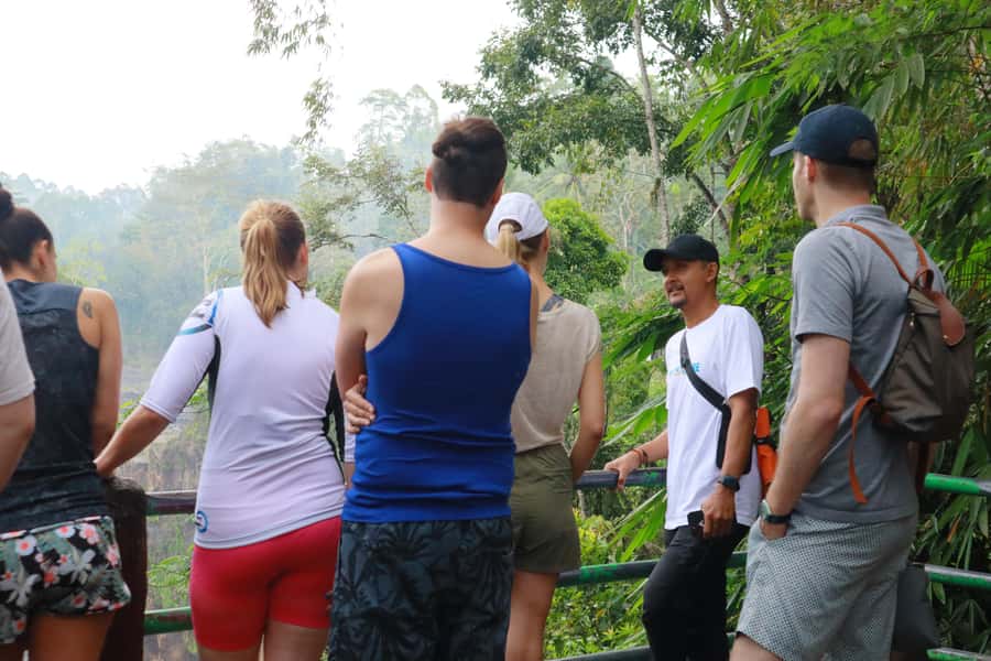 From Malang or Surabaya: Tumpak Sewu Waterfall Group Tour - Who Should Book This Trip