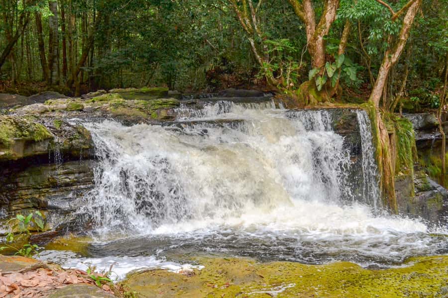 From Manaus: Presidente Figueiredo Waterfalls Daytrip - Is $90 good value from Manaus?