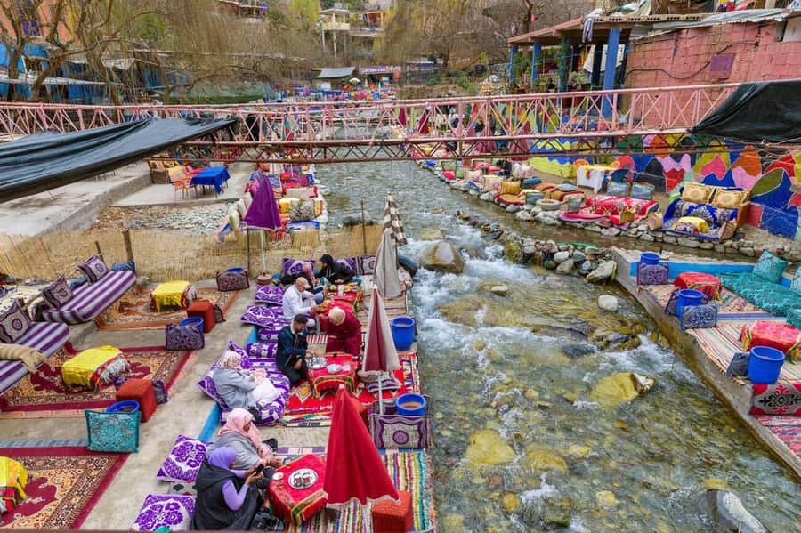 From Marrakech: Day Trip to Ourika Valley with Waterfalls - Drivers, guides, and the human side of the day