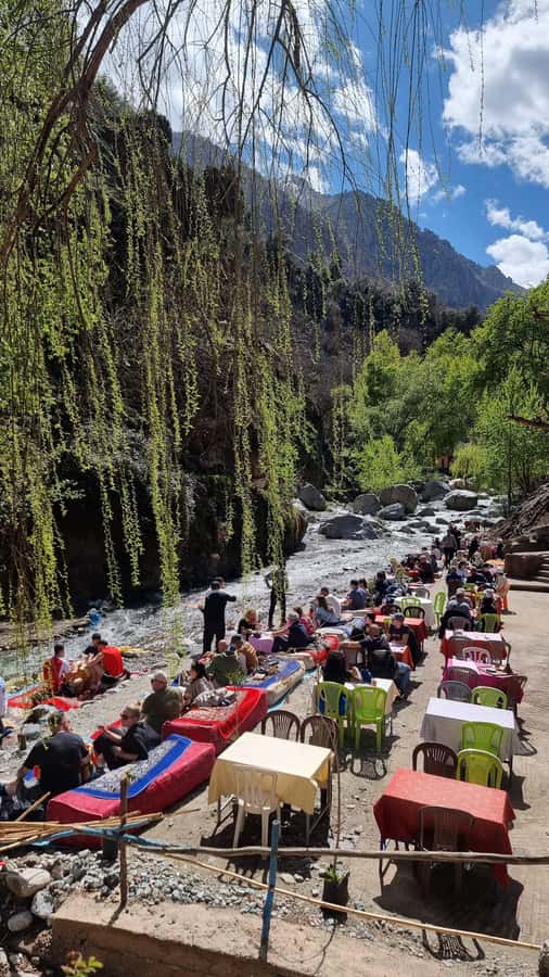 From Marrakech: Guided Ourika Valley with Waterfalls & Lunch - Practical advice before you go