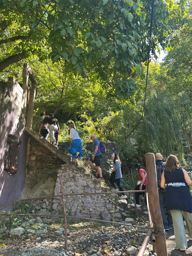 From Marrakech: Guided Ourika Valley with Waterfalls & Lunch - The first viewpoint and the changing scenery