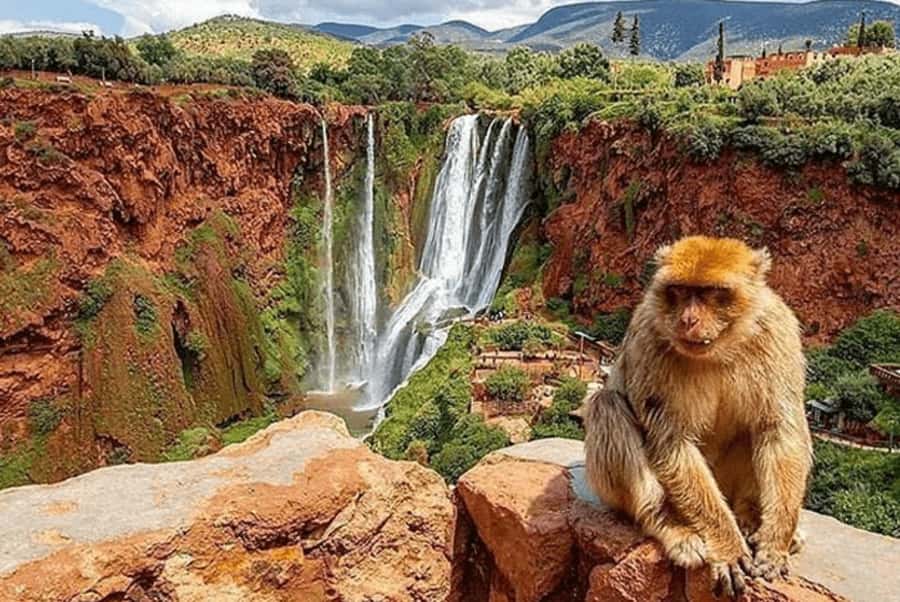 From Marrakech: Guided Ouzoud Waterfalls Tour with Boat Ride - The morning pickup and the road east