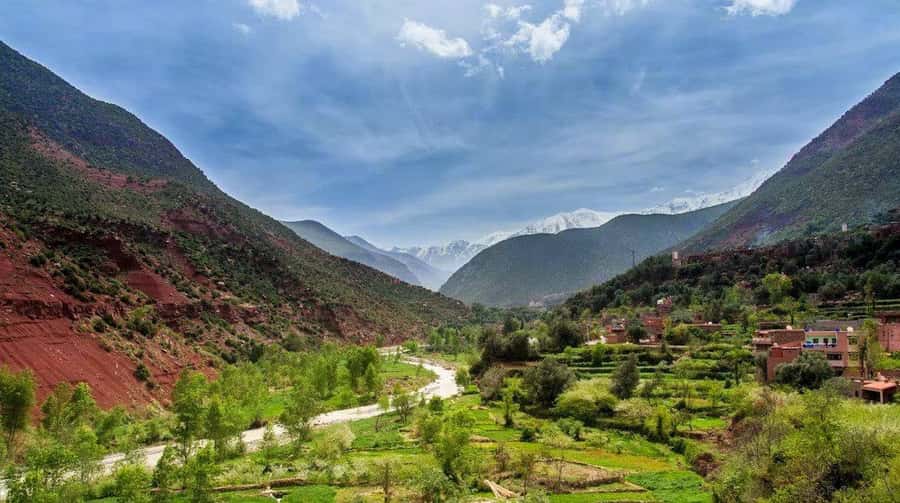 From Marrakech: Ourika Valley & Atlas Mountains Waterfalls - The argan oil cooperative and Berber welcome