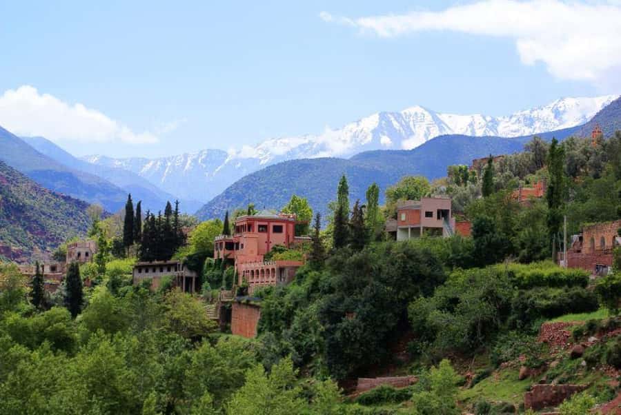 From Marrakech: Ourika Valley & Atlas Mountains Waterfalls - What the return journey is really like
