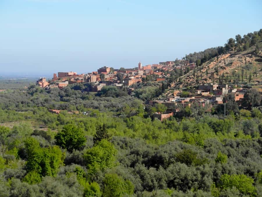 From Marrakech: Ourika Valley & Atlas Mountains Waterfalls - Who should book this Ourika Valley trip?