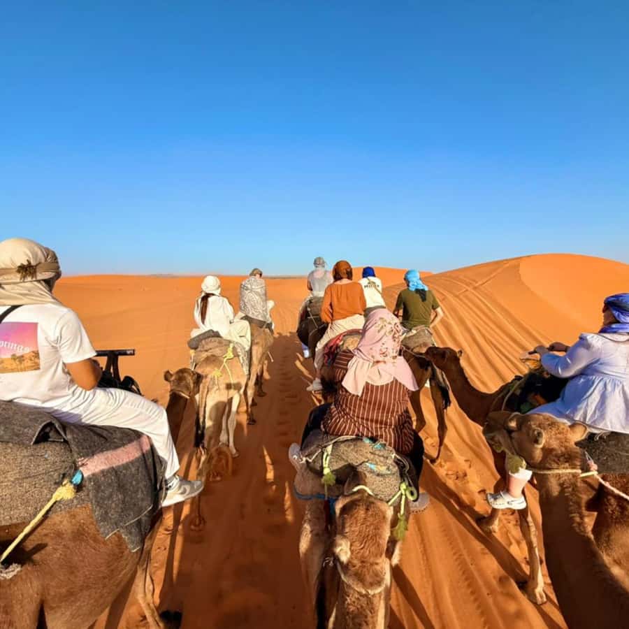 From Marrakech: Ourika Valley & Waterfalls with Lunch - The women’s argan oil cooperative