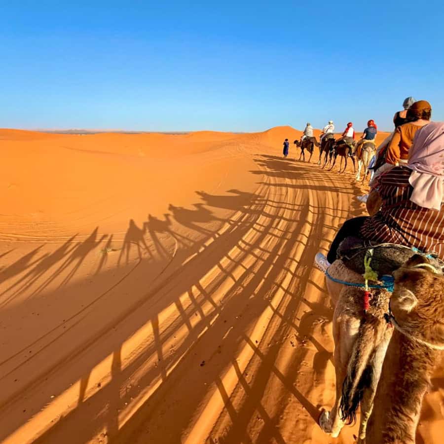 From Marrakech: Ourika Valley & Waterfalls with Lunch - Guide quality, transport, and the real pace of the day