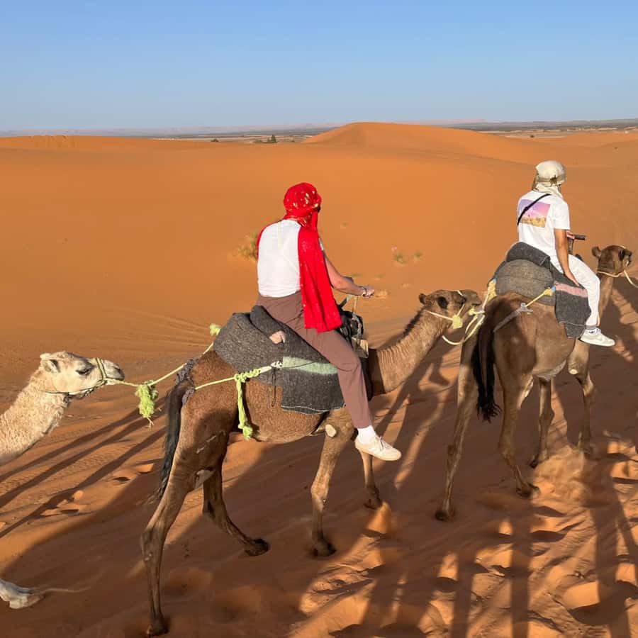 From Marrakech: Ourika Valley & Waterfalls with Lunch - Who will get the most from this day trip