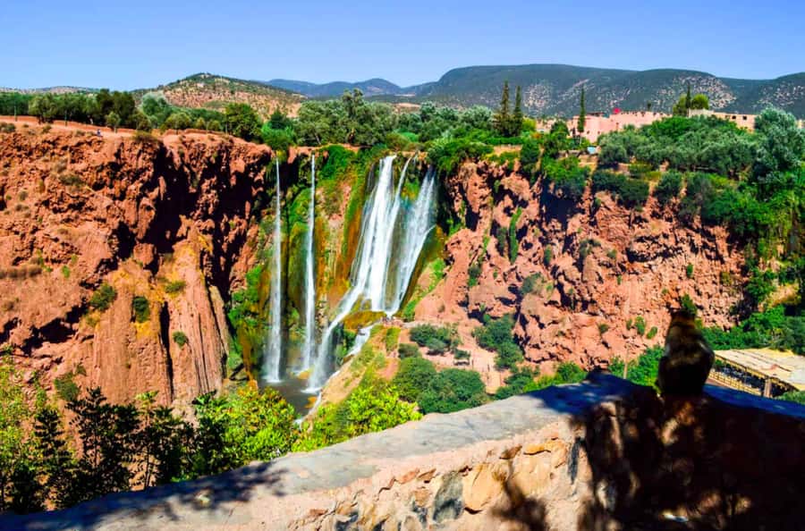 From Marrakech: Ouzoud Waterfall Local guide & Boat Ride - The early Marrakech pickup and the three-hour drive