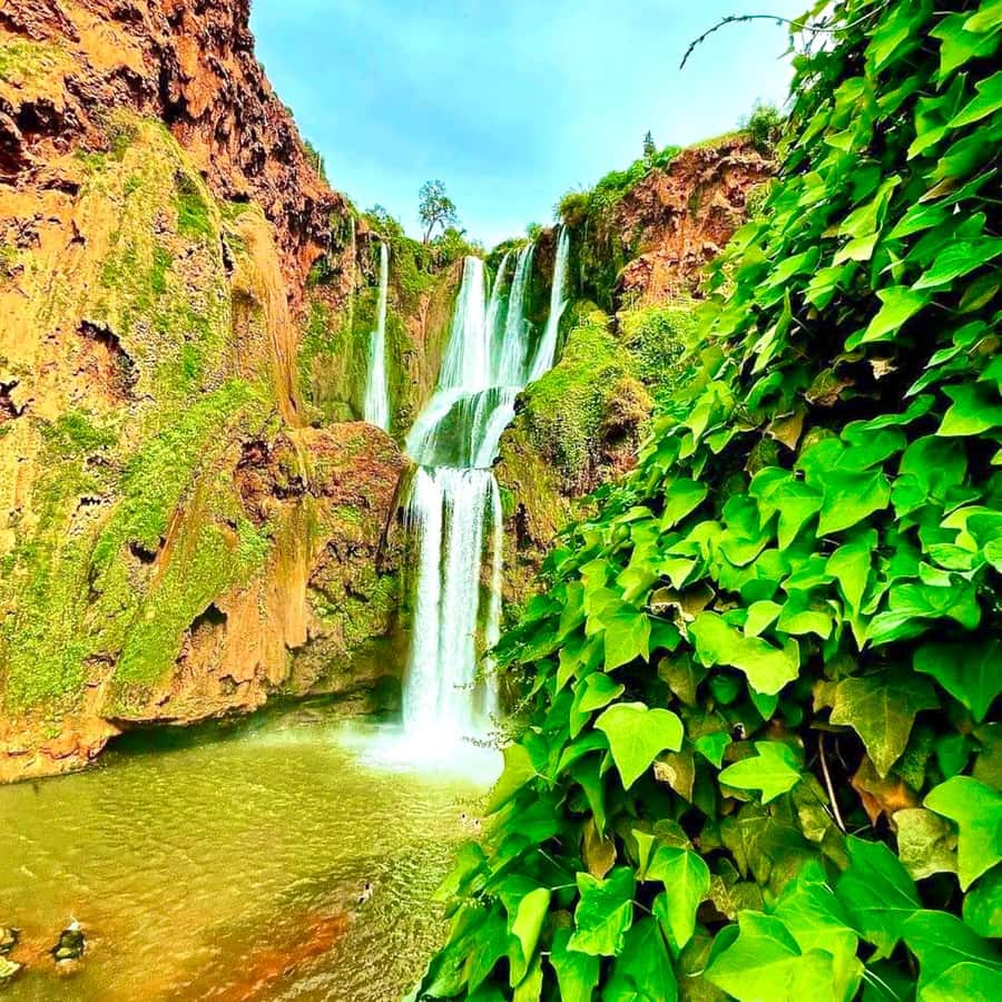 From Marrakech: Ouzoud Waterfalls Guided hike & boat Ride - Who should book this experience?