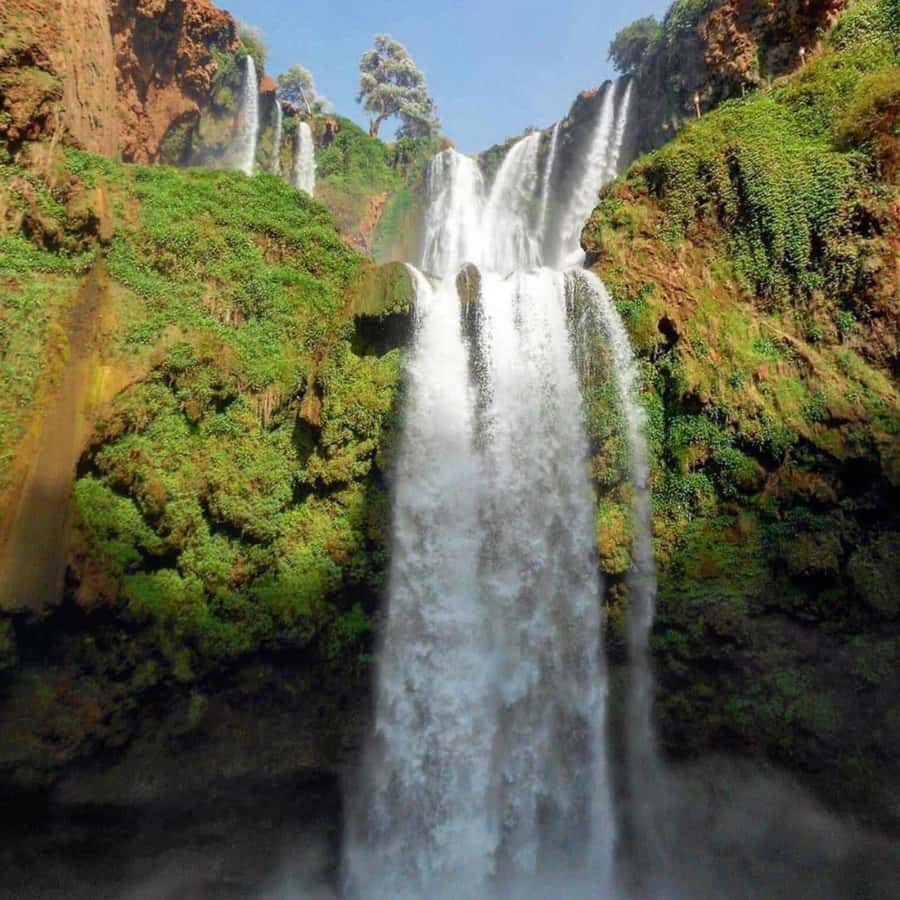 From Marrakech: Ouzoud Waterfalls Guided hike & boat Ride - A late Moroccan lunch with a view