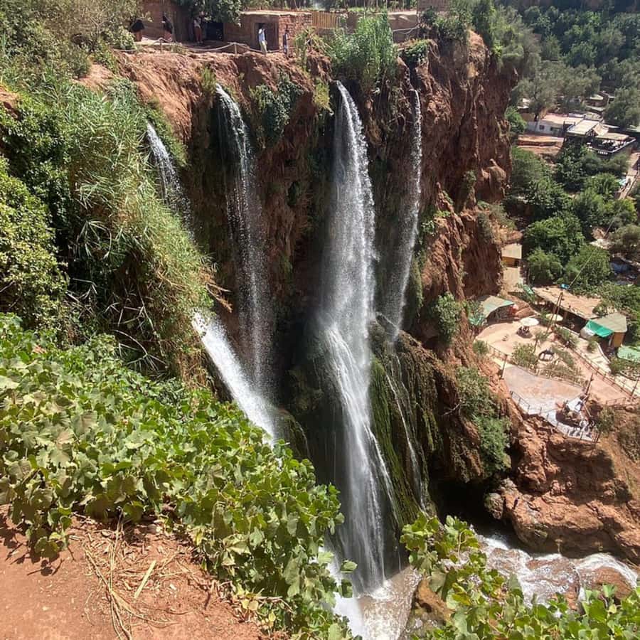 From Marrakech: Ouzoud Waterfalls Guided Tour and Boat Ride - Six and a half hours in a minibus