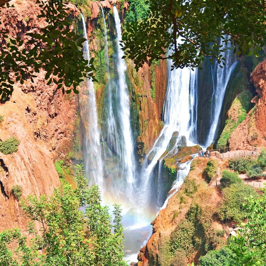 From Marrakech: Ouzoud Waterfalls Guided Tour and Boat Ride - How the $22 price measures up