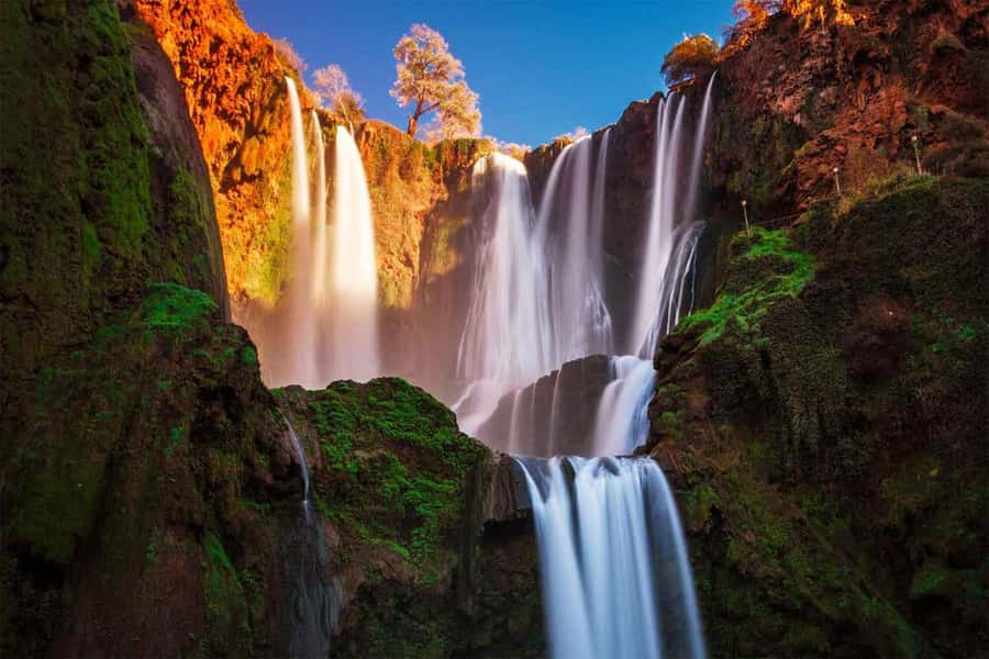 From Marrakech: Private Ouzoud Falls & Boat Ride Day Trip - Key points to know before booking