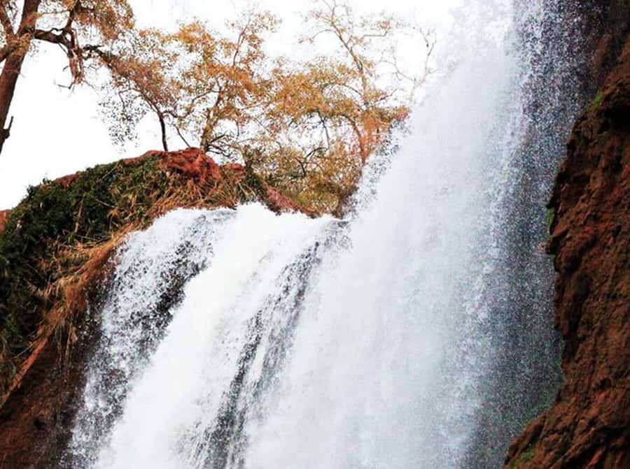 From Marrakech: Private Ouzoud Falls & Boat Ride Day Trip - Who will enjoy this Ouzoud day trip?