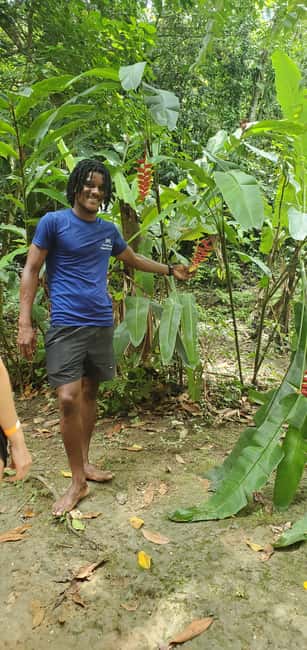 From Montego Bay: Blue Hole Waterfall Experience - Caves, trails, and the tropical setting