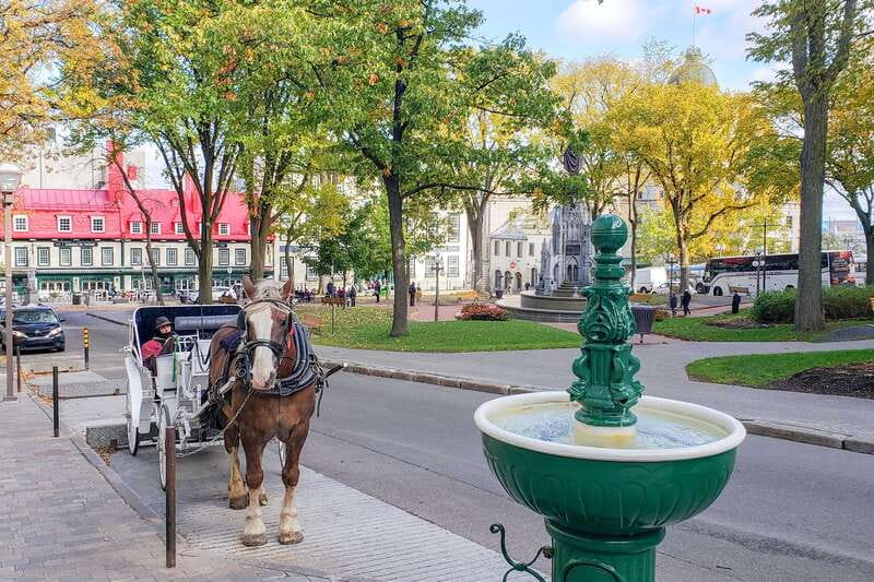 From Montreal: Quebec City and Montmorency Falls Day Trip - Who should book this experience?