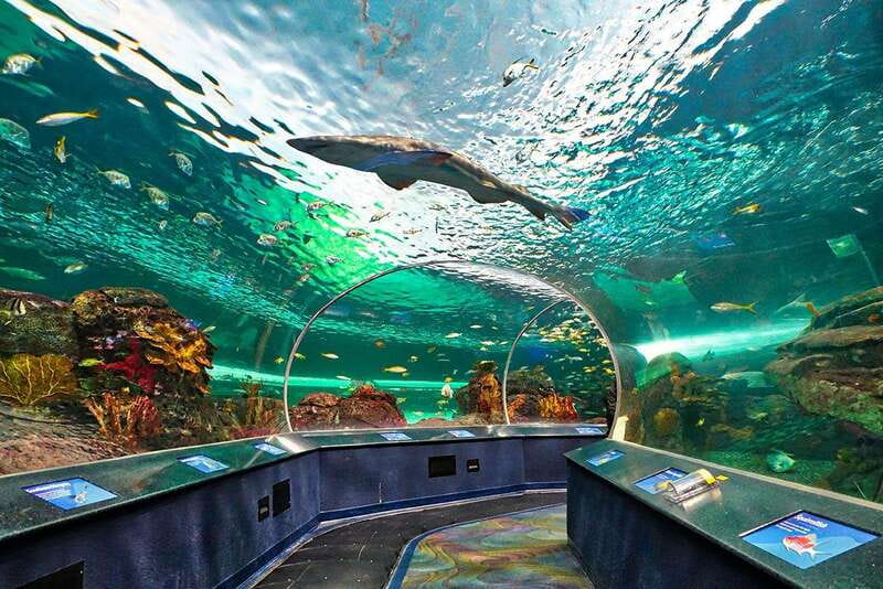 From Montreal: Toronto, Niagara Falls & 1000 Islands Tour - FAQ
