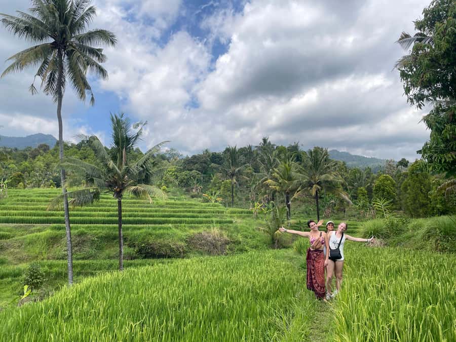 From North Bali: Aling Aling Waterfall and Blue Lagoon Tour - Kroya, Kembar, and Pucuk: the action portion