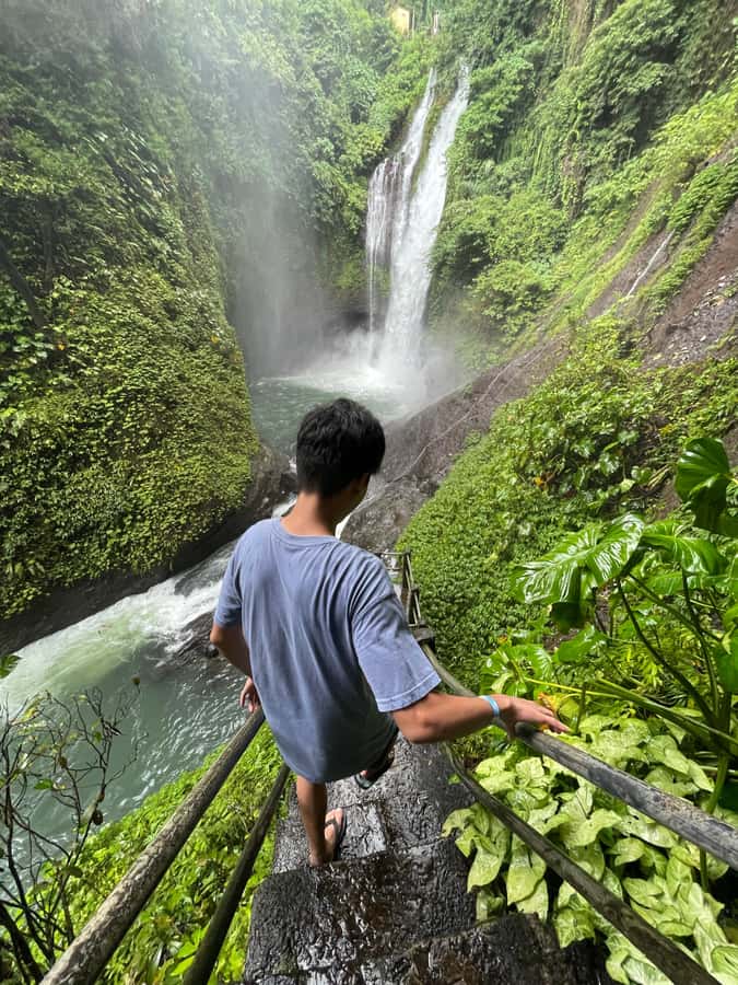 From North Bali: Aling Aling Waterfall and Blue Lagoon Tour - What the guide adds