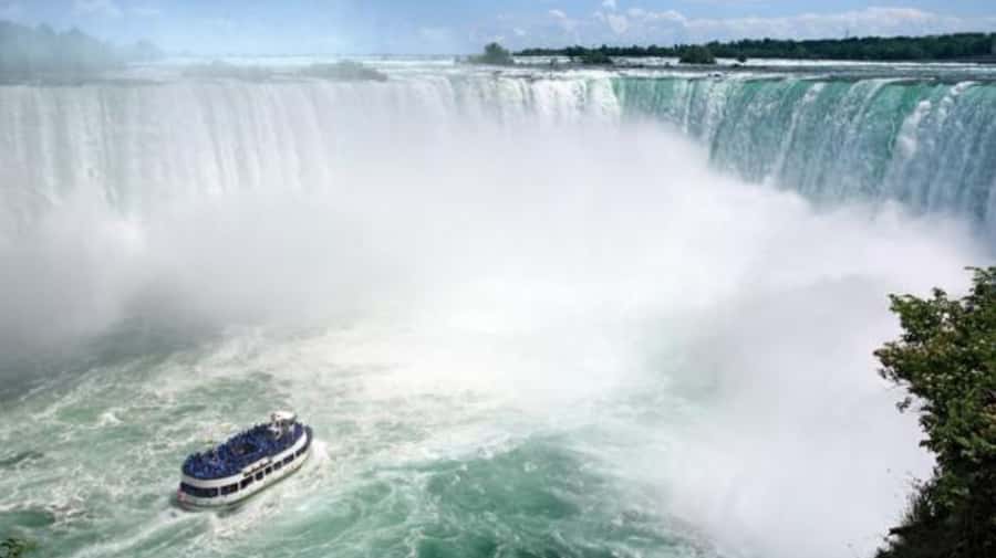From NYC: Niagara Falls Day Trip with Optional Boat Ride - From 790 Seventh Avenue to Niagara County