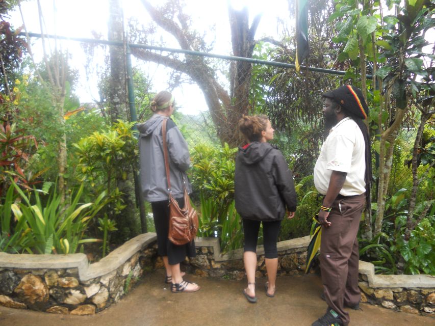 From Ocho Rios: Bob Marley & Dunn’s River Falls 6/7Hour Tour - What to bring and what to plan