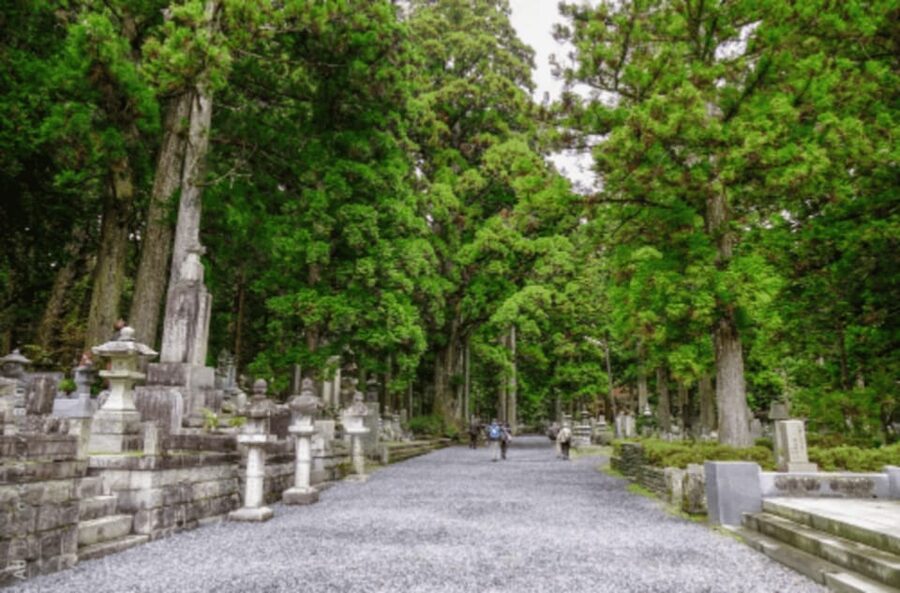 From Osaka/Kyoto:Mount Koya, Wakayama & Nachi Waterfall Trip - Wakayama Castle starts the day with views and stairs