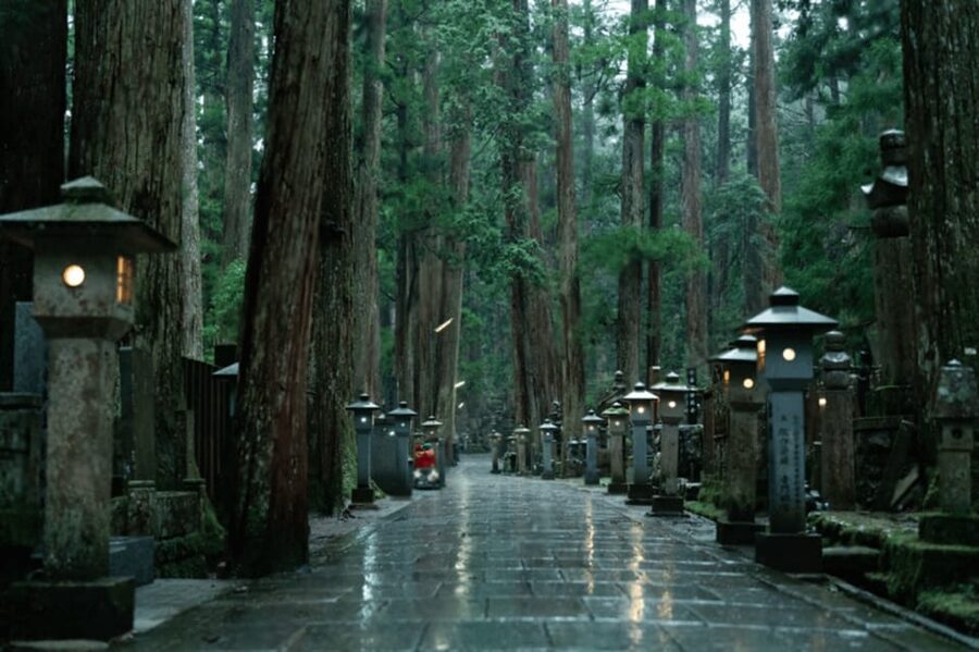 From Osaka/Kyoto:Mount Koya, Wakayama & Nachi Waterfall Trip - The Mount Koya Museum adds context to the temples