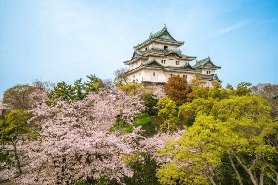 From Osaka/Kyoto:Mount Koya, Wakayama & Nachi Waterfall Trip - Nachi Waterfall brings nature and spirituality together