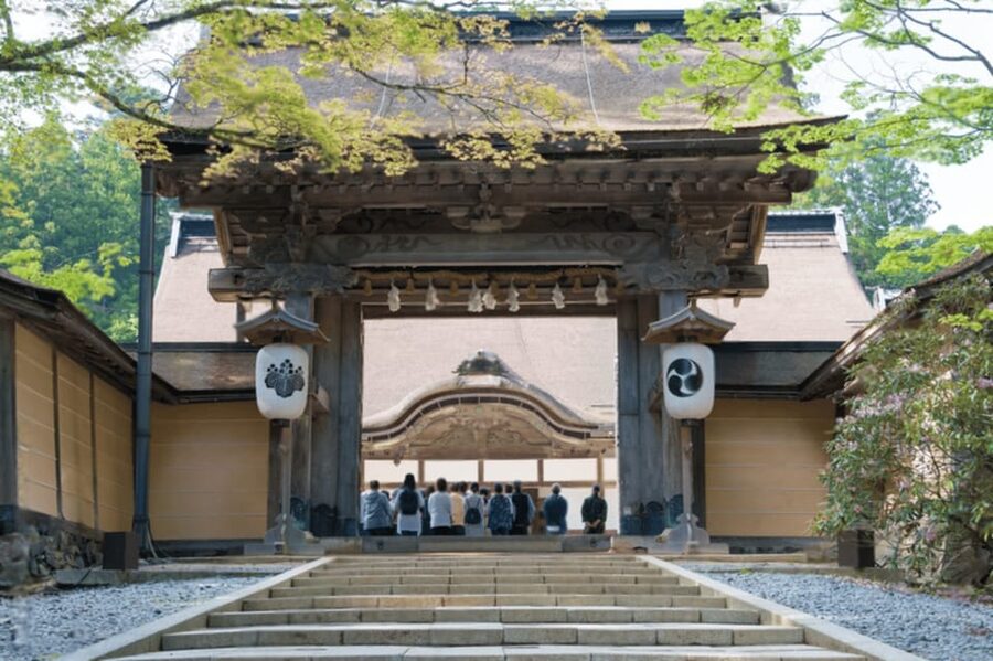 From Osaka/Kyoto:Mount Koya, Wakayama & Nachi Waterfall Trip - How the guides shape the experience