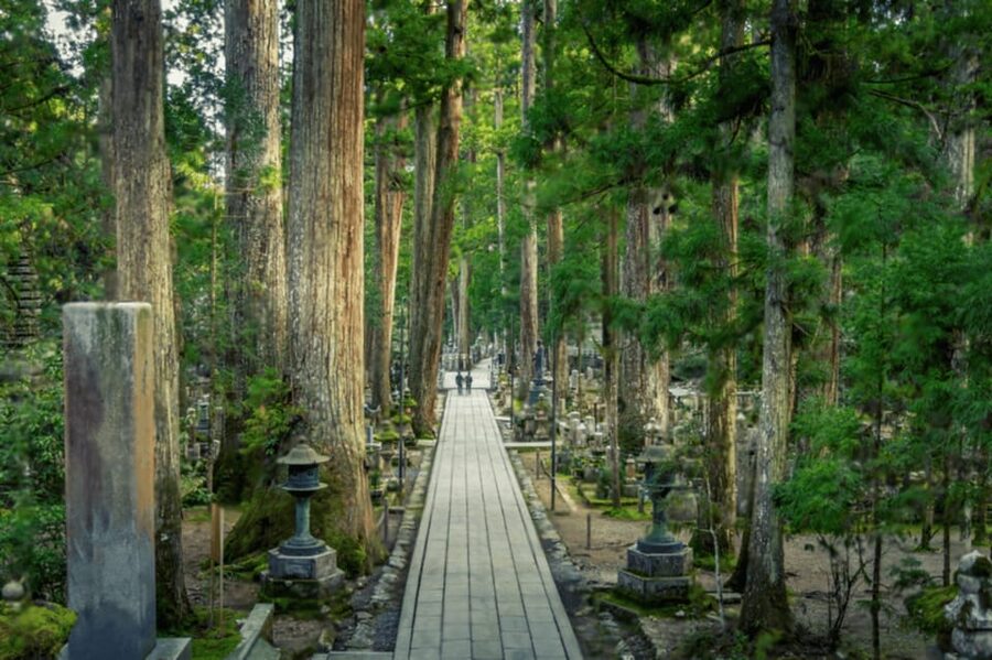 From Osaka/Kyoto:Mount Koya, Wakayama & Nachi Waterfall Trip - Is $910 good value for up to six people?