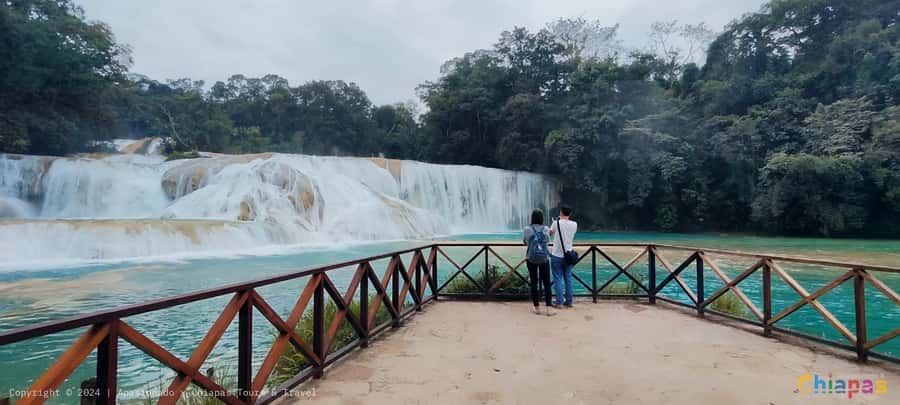 From Palenque: Misol-Ha & Agua Azul Waterfalls Day Tour - What the van ride is really like