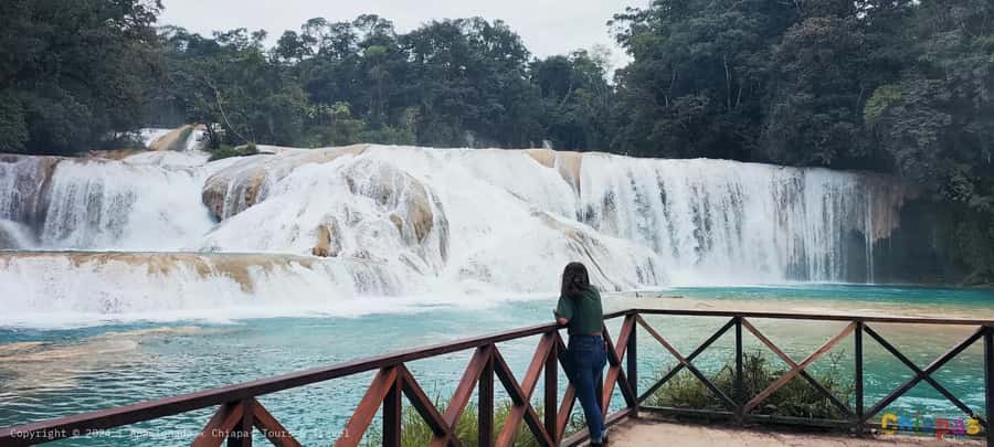 From Palenque: Misol-Ha & Agua Azul Waterfalls Day Tour - Is $46 good value?