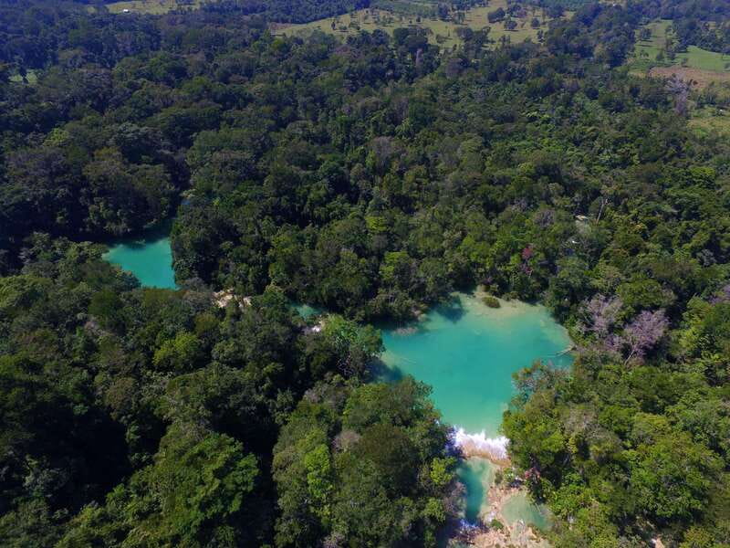 From Palenque: Palenque Ruins and waterfalls Roberto Barrios - Is $93 a fair price?