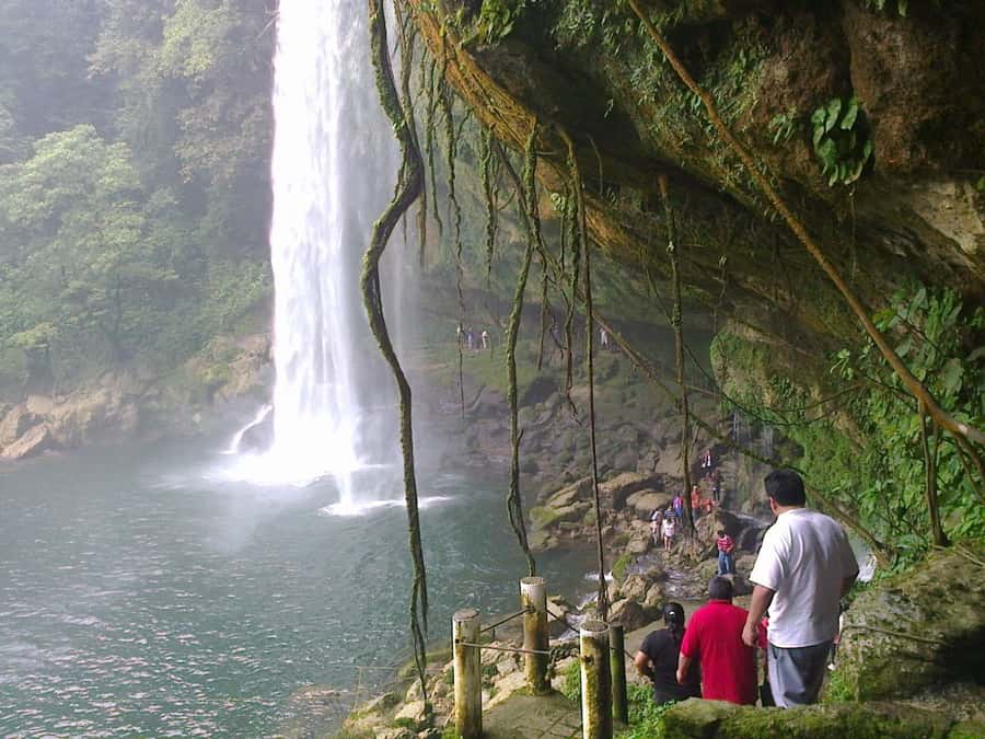 From Palenque: Ruins and waterfalls of Misol-ha & Agua Azul - Palenque: Maya temples among the trees