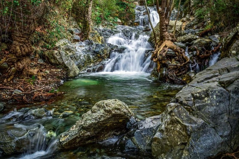 From Paphos: Caledonia Waterfalls Walking Tour with Lunch - A bright start at Kolossi Fruit Garden