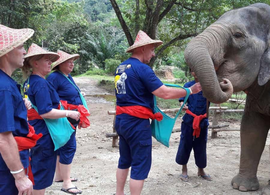 From Phuket & Khao Lak: Elephant Care with Waterfall Visit - A no-riding approach to elephant care