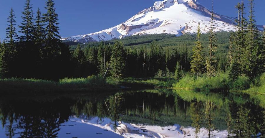 From Portland: Columbia Gorge Waterfalls and Mt. Hood Tour - Key points at a glance