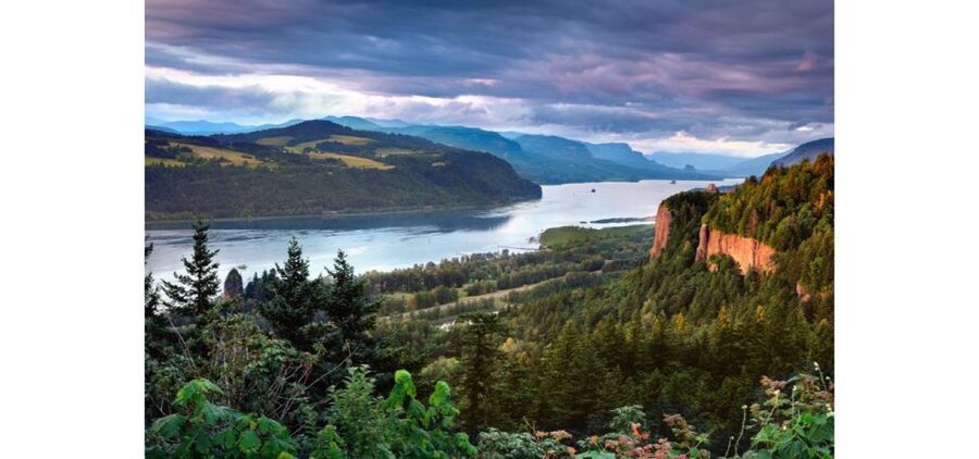From Portland: Columbia Gorge Waterfalls Tour - The guides are a major part of the value
