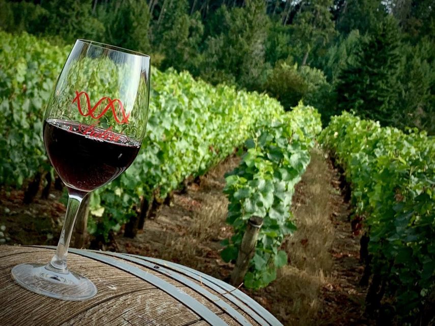From Portland: Waterfalls, Mt Hood, and Wine Day Tour - Who should book this tour