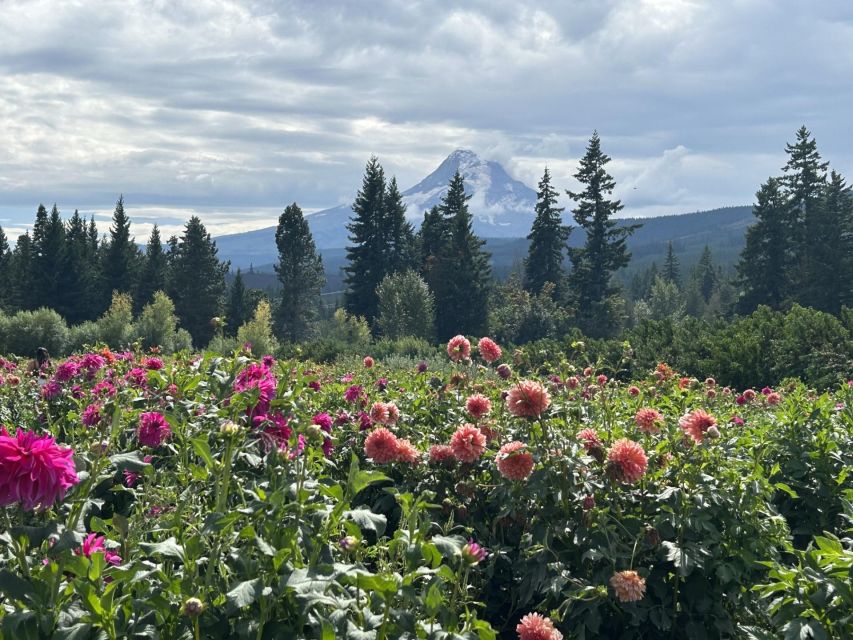 From Portland: Waterfalls, Mt Hood, and Wine Day Tour - What the $155 price really covers
